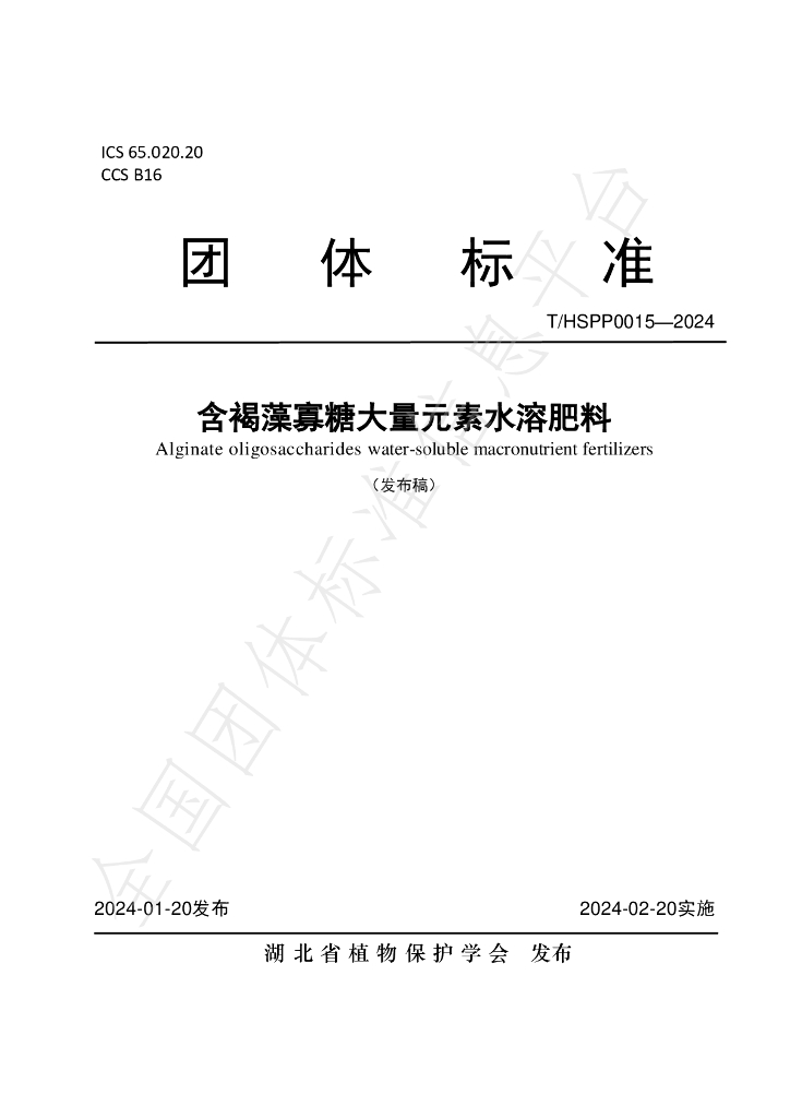 T/HSPP 0015-2024 标准预览