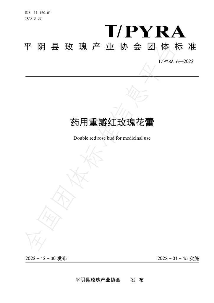 T/PYRA 6-2022 标准预览
