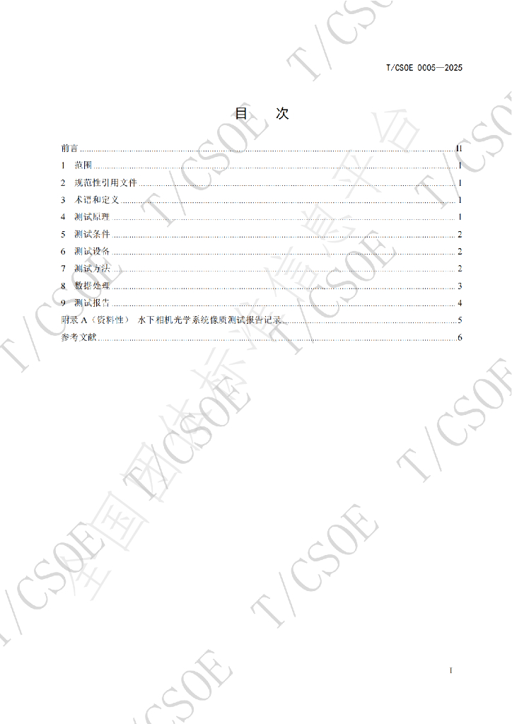 T/CSOE 0005-2025 标准预览
