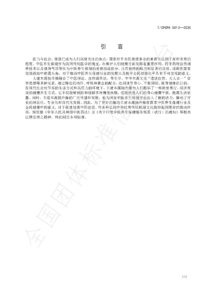 T/CPCPA 0013-2025 标准预览