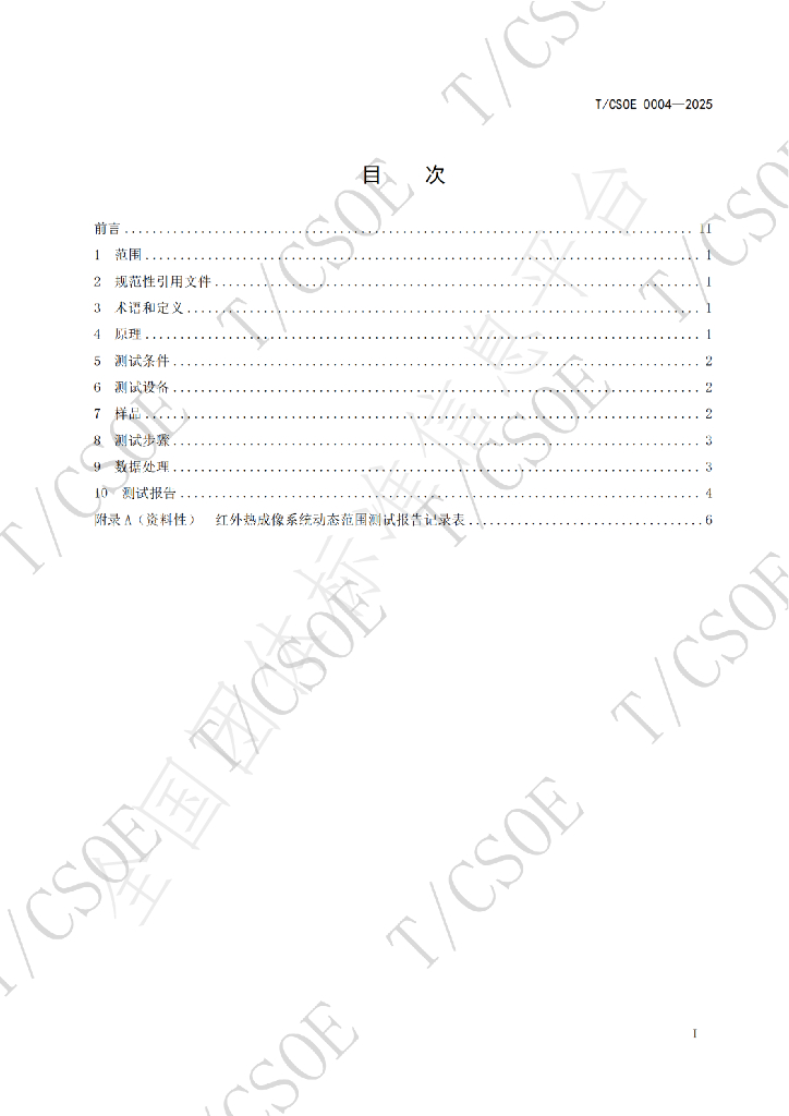 T/CSOE 0004-2025 标准预览