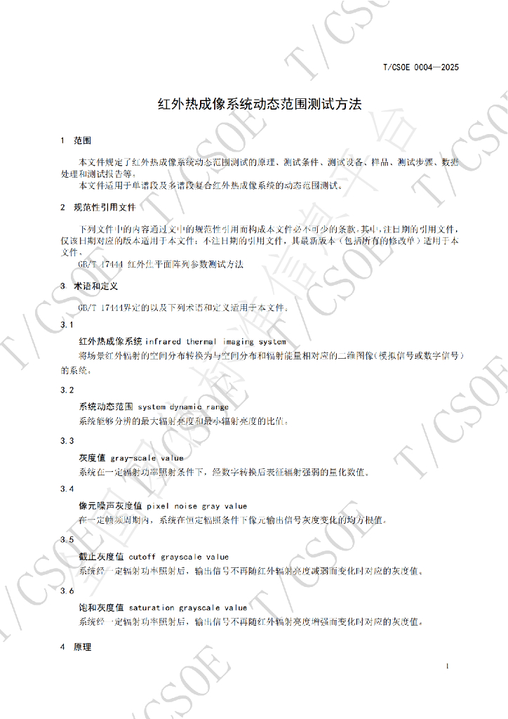 T/CSOE 0004-2025 标准预览