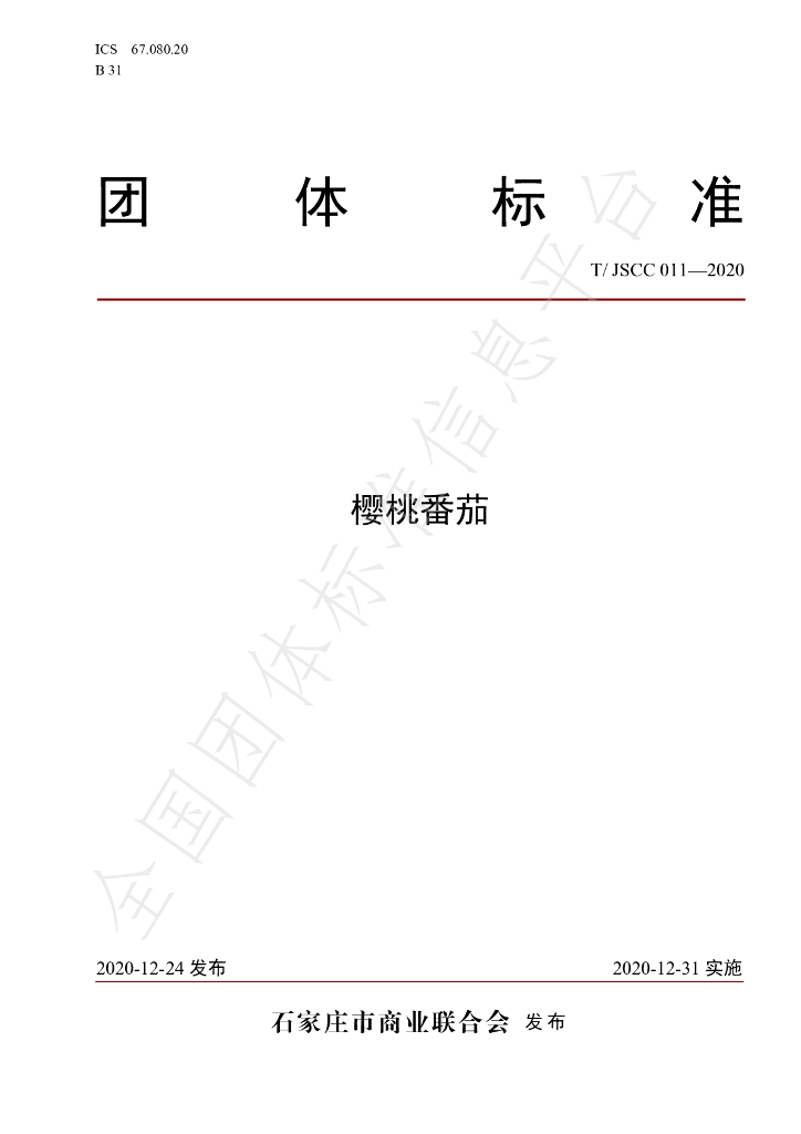T/JSCC 011-2020 标准预览