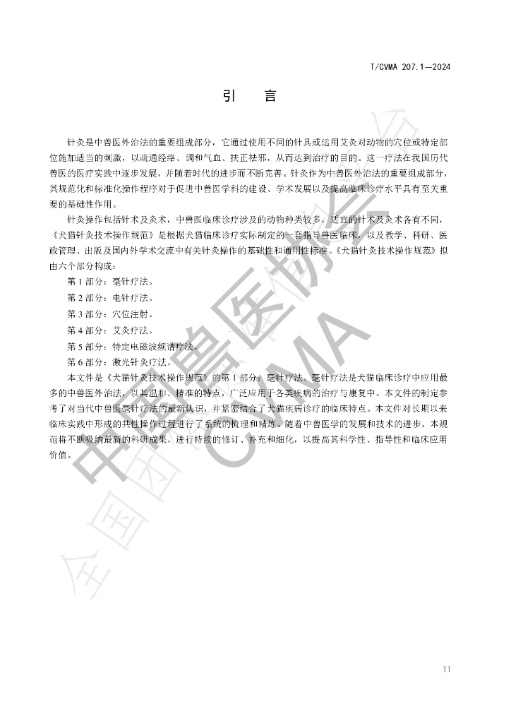 T/CVMA 207.1-2024 标准预览