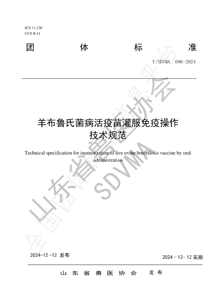 T/SDVMA 006-2024 标准预览