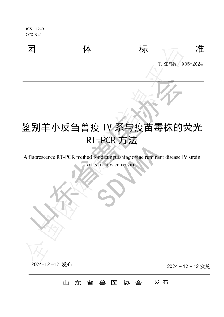 T/SDVMA 005-2024 标准预览