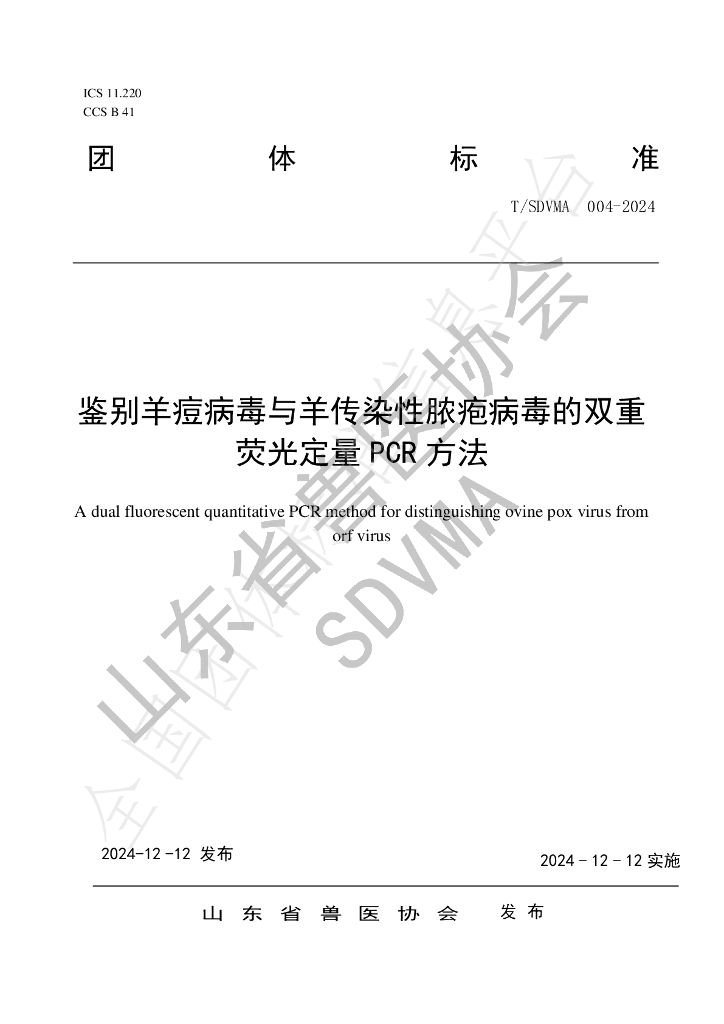 T/SDVMA 004-2024 标准预览