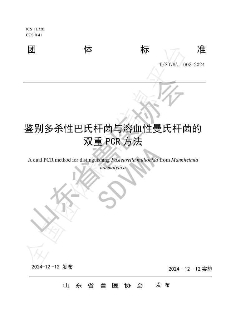 T/SDVMA 003-2024 标准预览