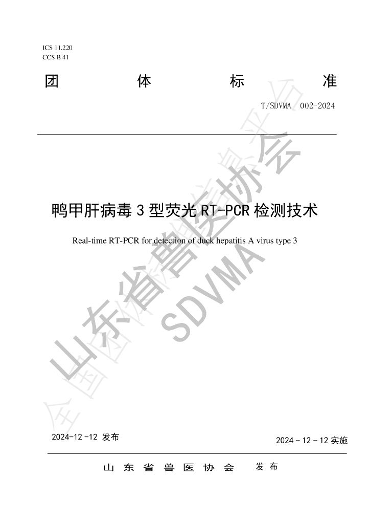 T/SDVMA 002-2024 标准预览
