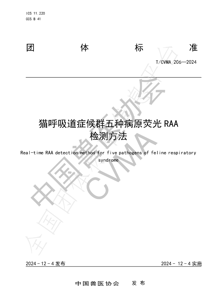 T/CVMA 206-2024 标准预览