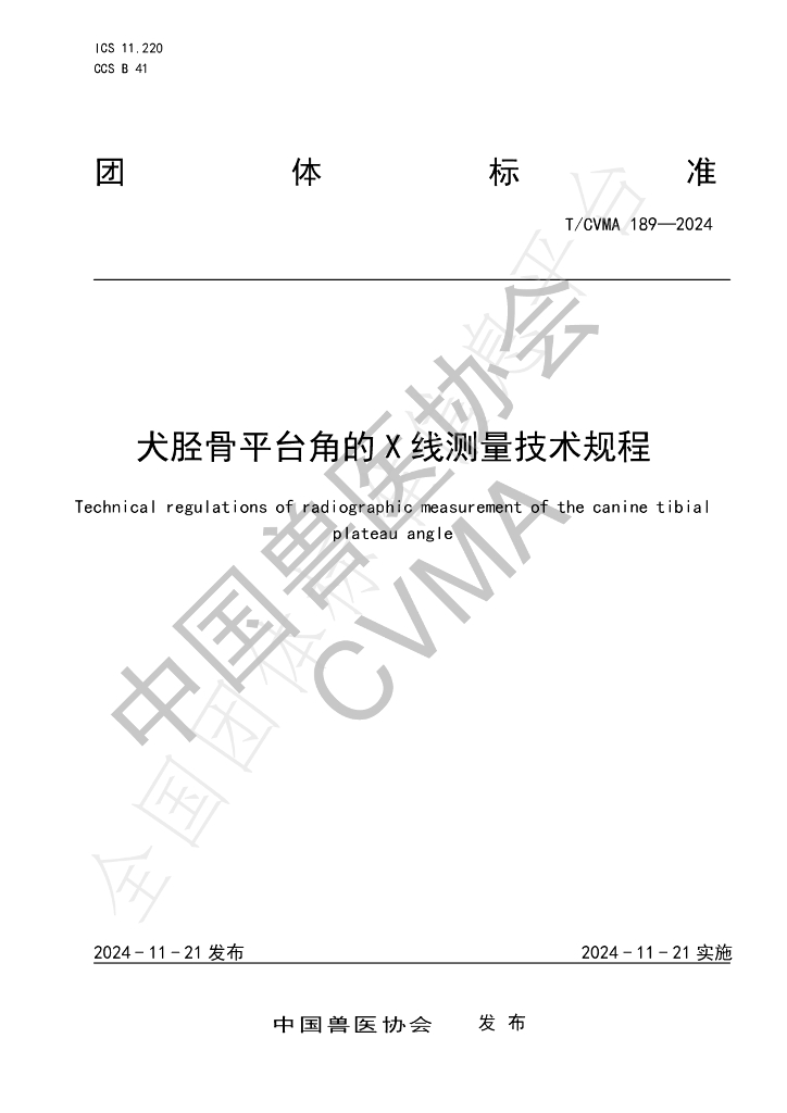 T/CVMA 189-2024 标准预览