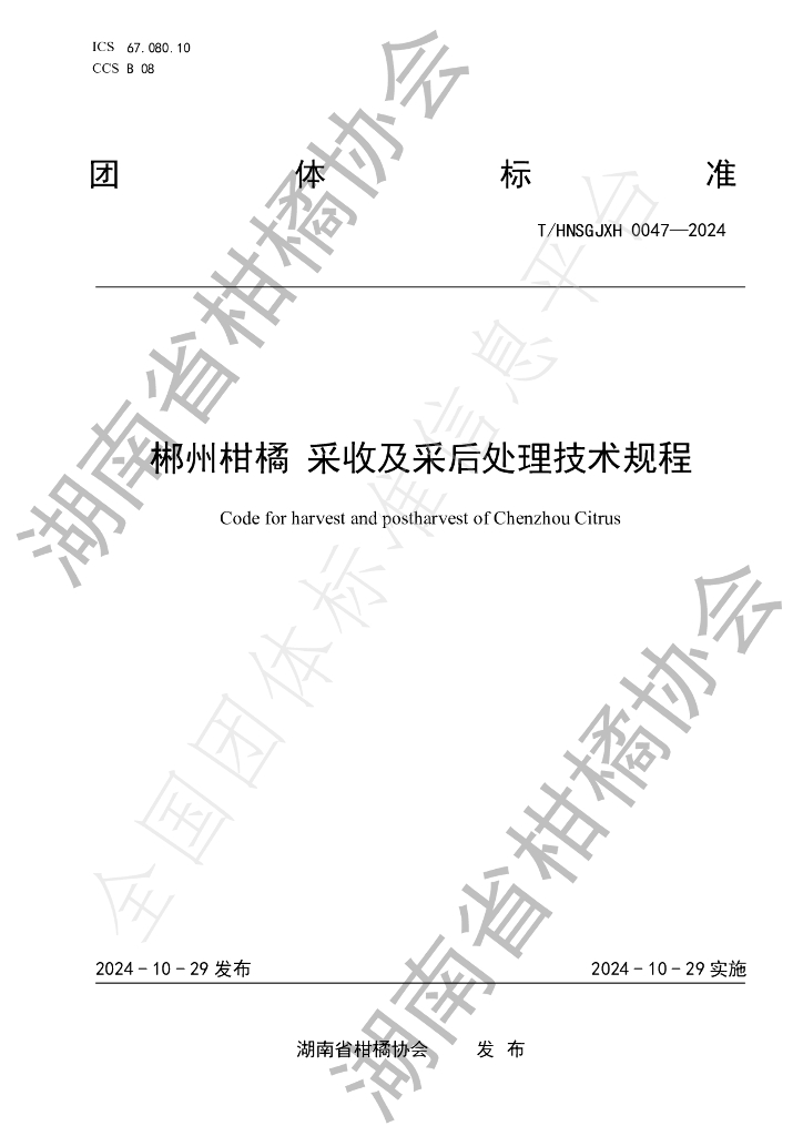 T/HNSGJXH 0047-2024 标准预览