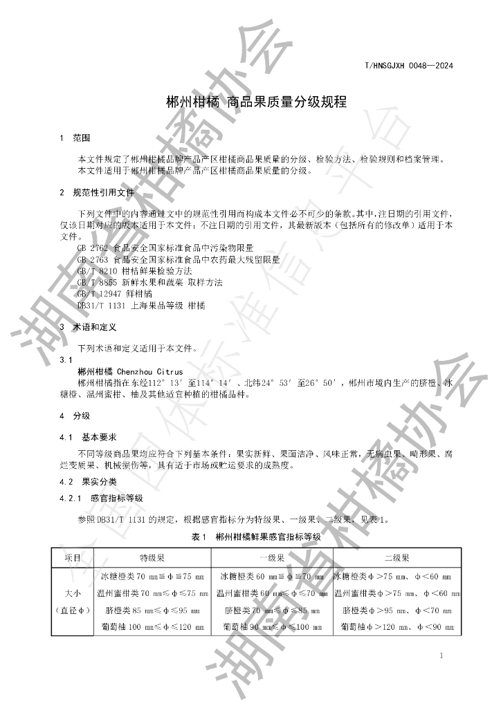T/HNSGJXH 0048-2024 标准预览