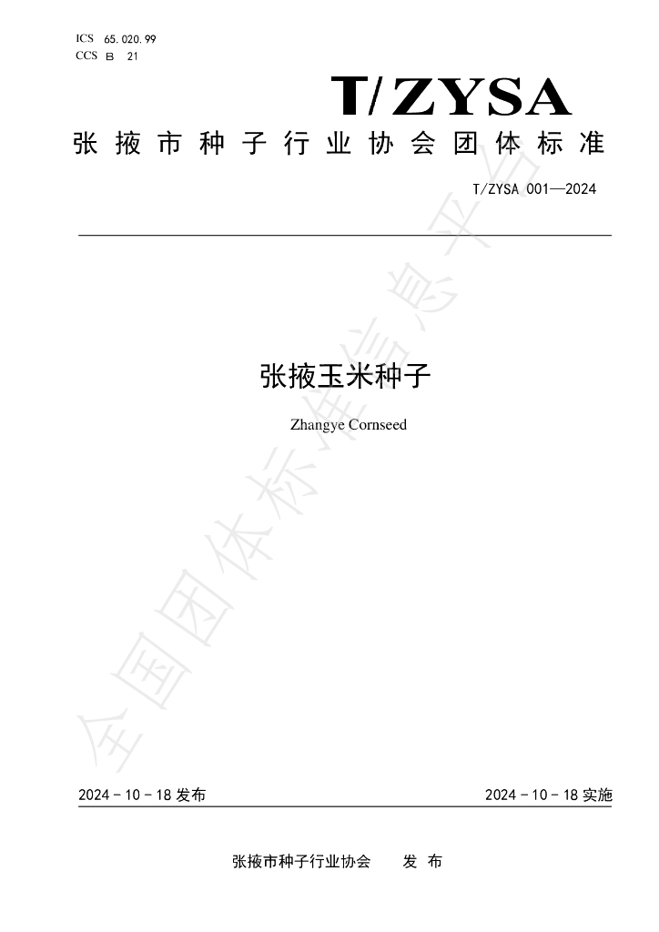 T/ZYSA 001-2024 标准预览