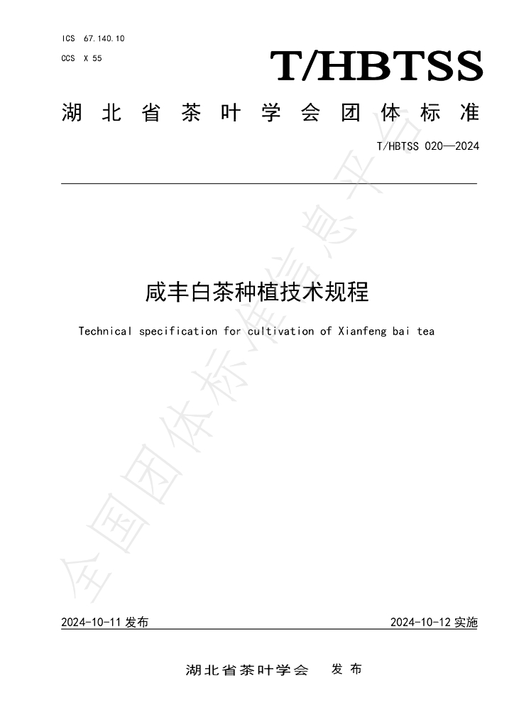 T/HBTSS 020-2024 标准预览