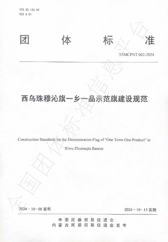 T/IMCPNT 002-2024 标准预览