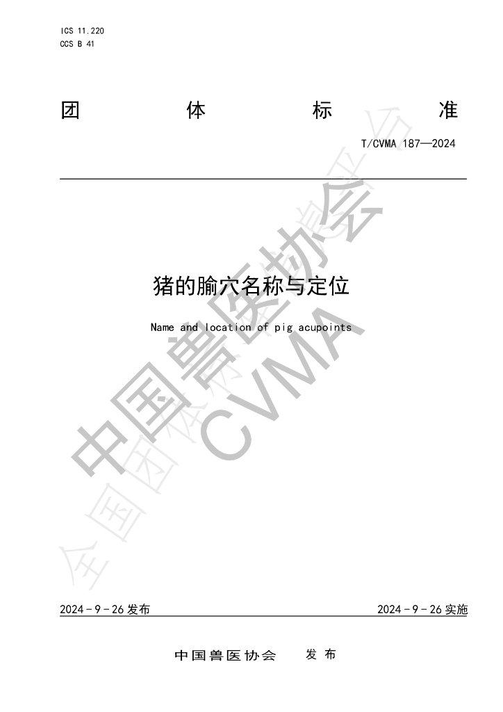 T/CVMA 187-2024 标准预览