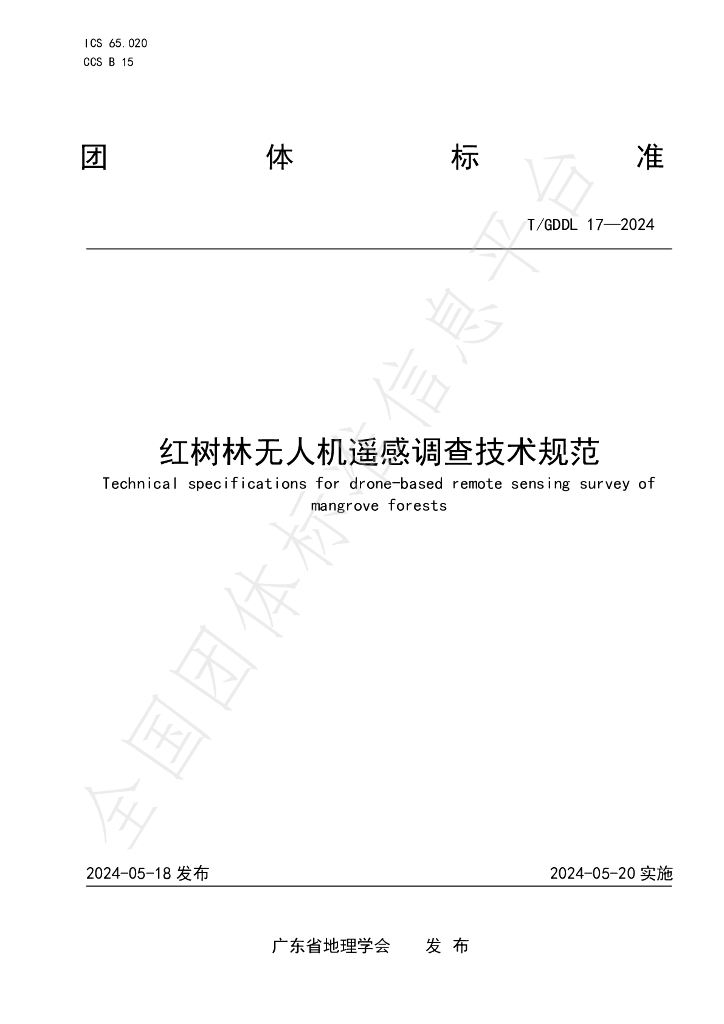 T/GDDL 17-2024 标准预览