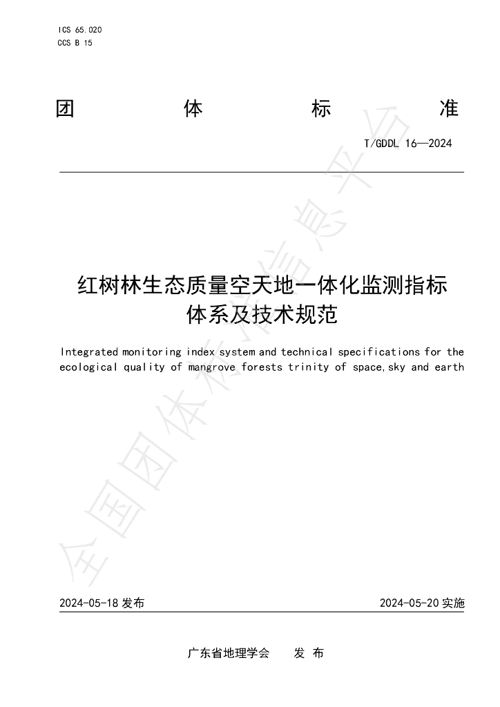 T/GDDL 16-2024 标准预览