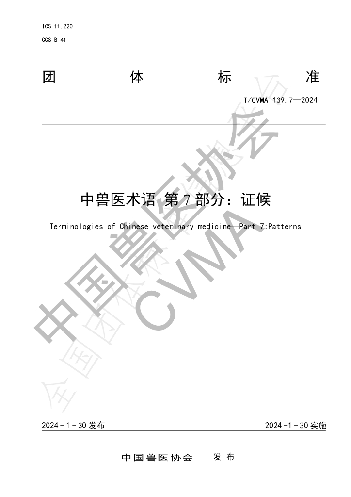 T/CVMA 139.7-2024 标准预览