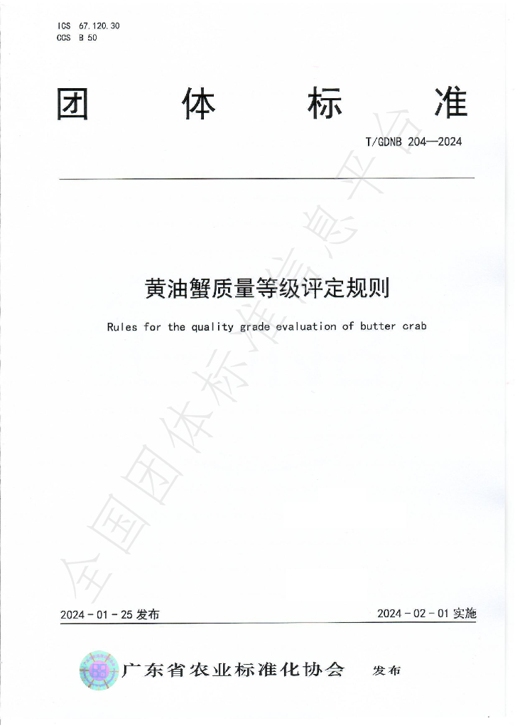 T/GDNB 204-2024 标准预览