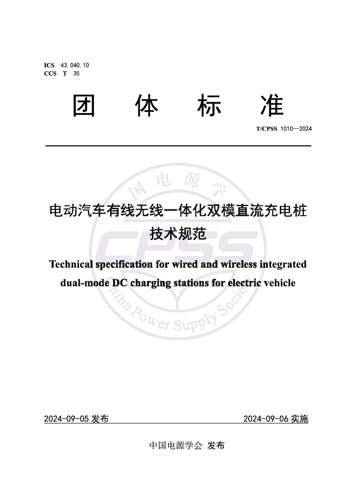 T/CPSS 1010-2024 标准预览