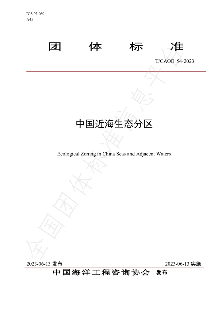 T/CAOE 54-2023 标准预览