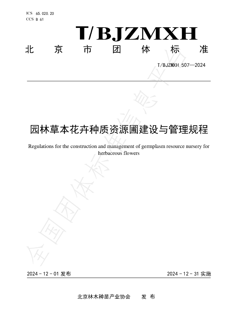 T/BJZMXH 507-2024 标准预览