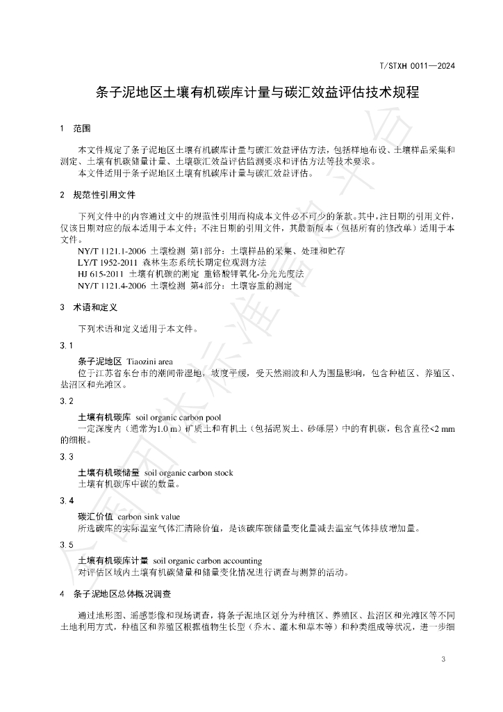 T/STXH 0011-2024 标准预览