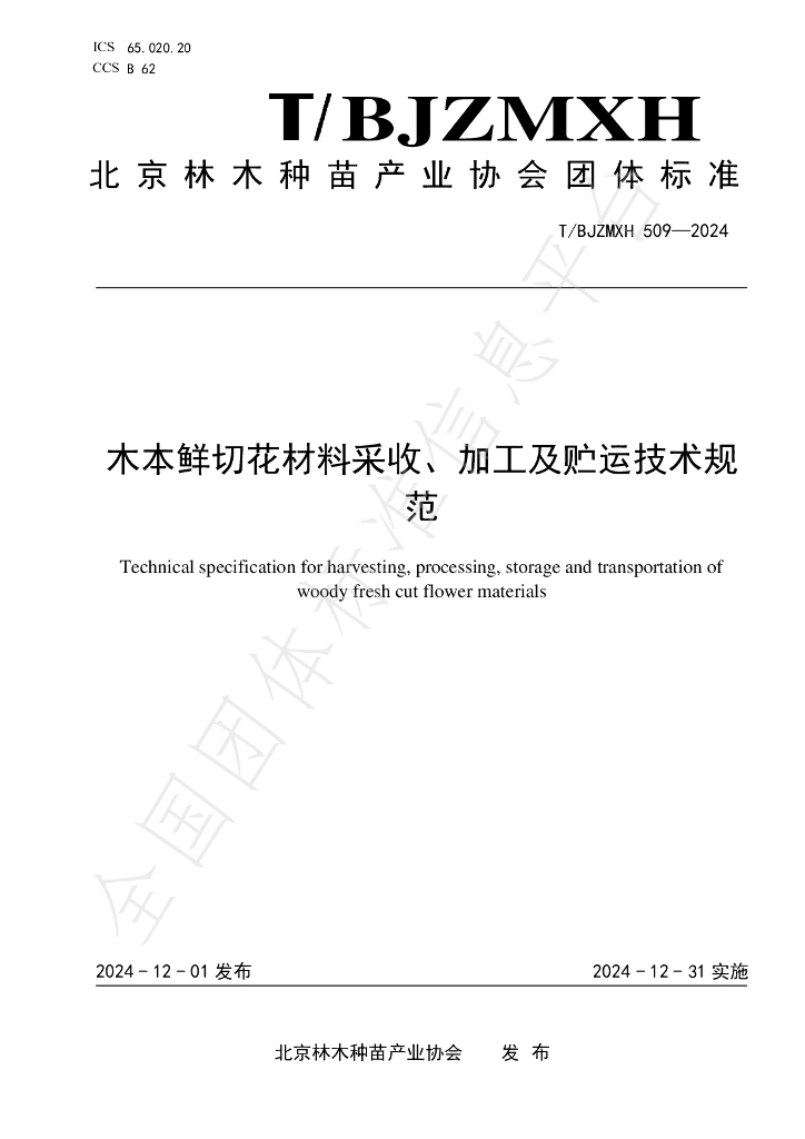 T/BJZMXH 509-2024 标准预览