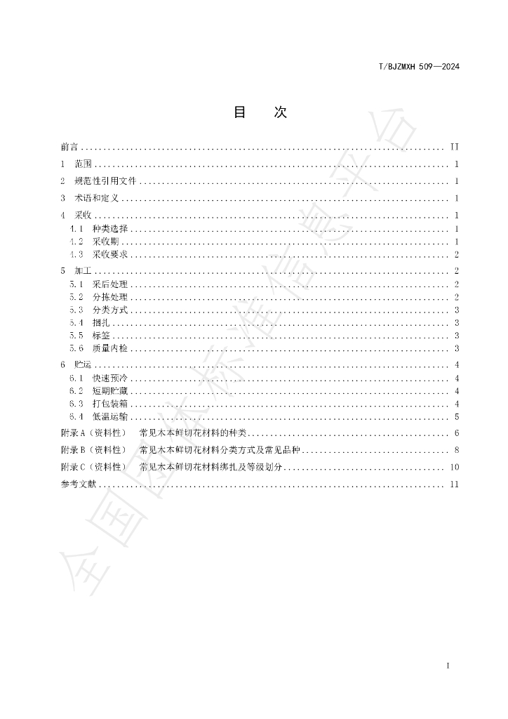 T/BJZMXH 509-2024 标准预览