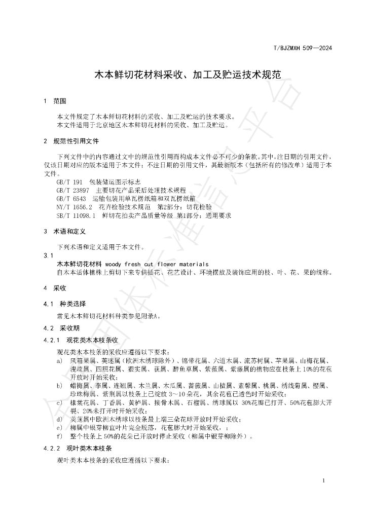 T/BJZMXH 509-2024 标准预览