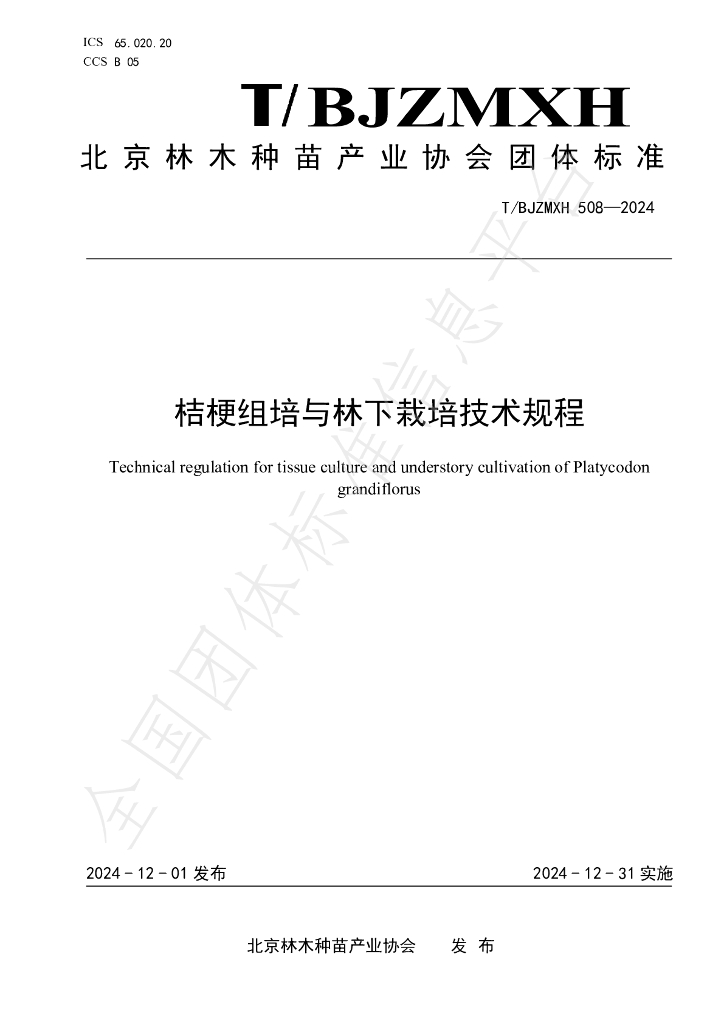 T/BJZMXH 508-2024 标准预览