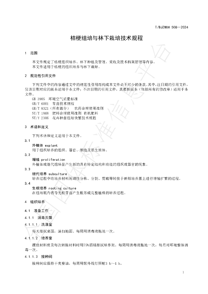 T/BJZMXH 508-2024 标准预览