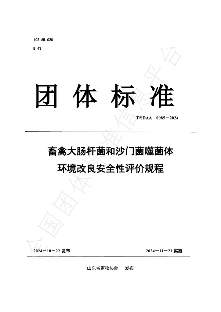 T/SDAA 0085-2024 标准预览