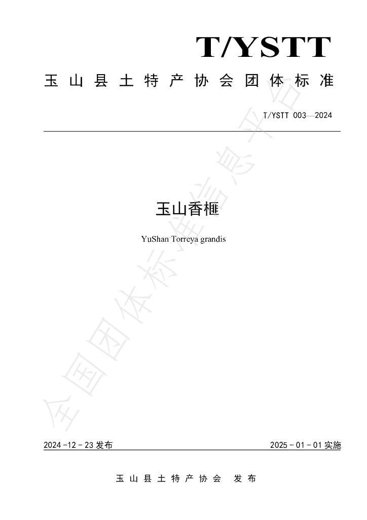 T/YSTT 003-2024 标准预览