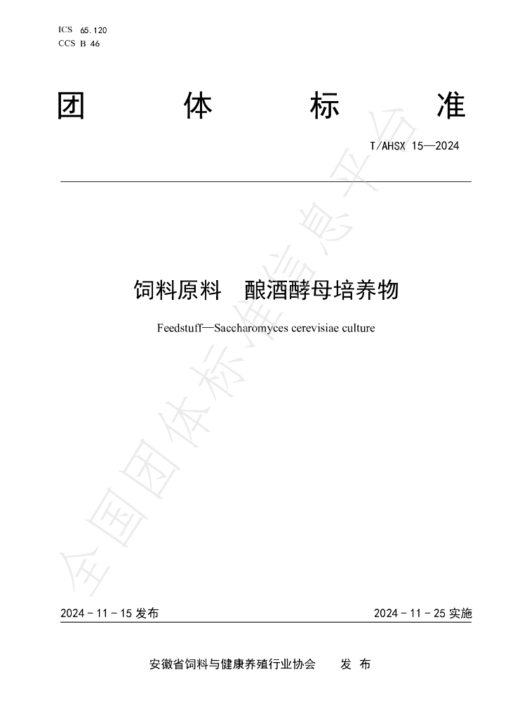 T/AHSX 15-2024 标准预览