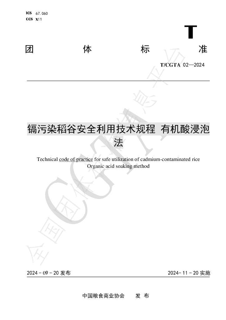 T/CGTA 02-2024 标准预览