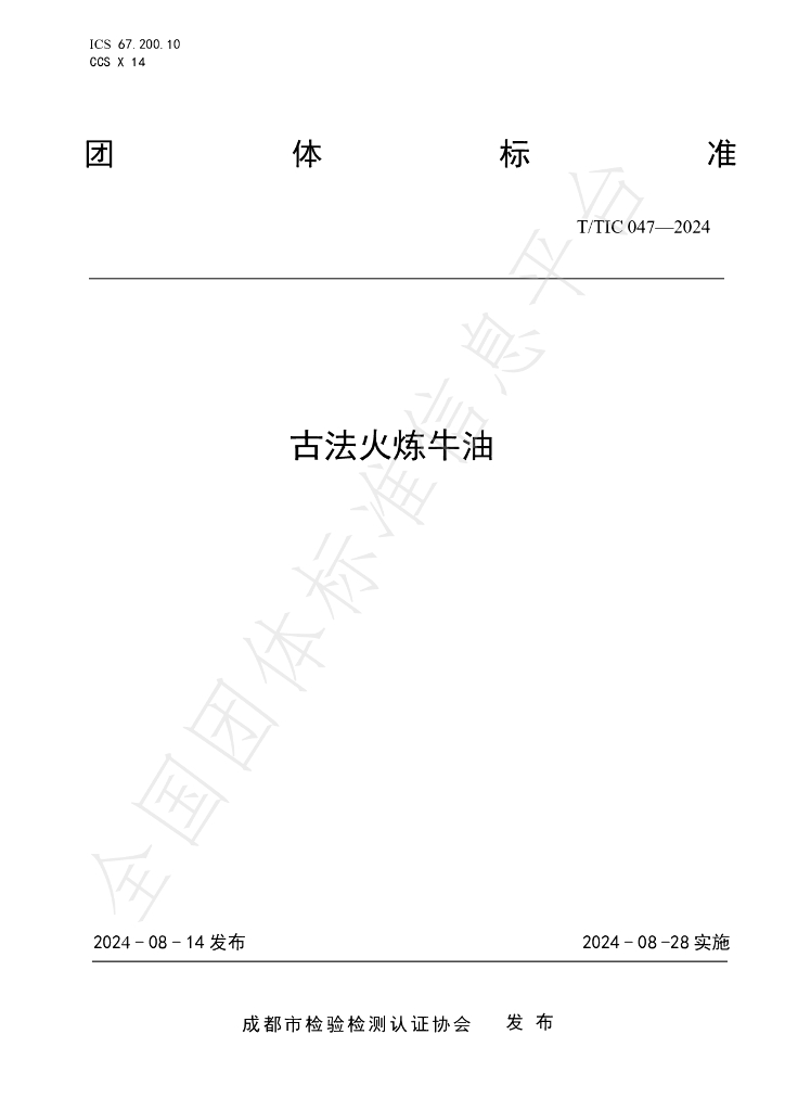 T/TIC 047-2024 标准预览