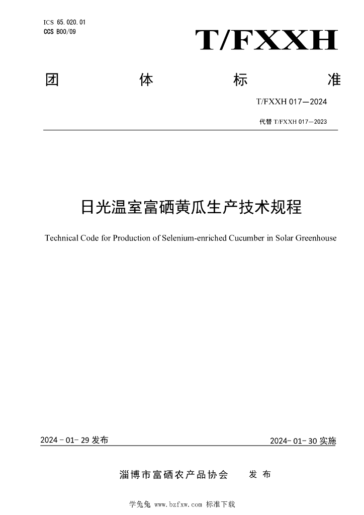 T/FXXH 017-2024 标准预览