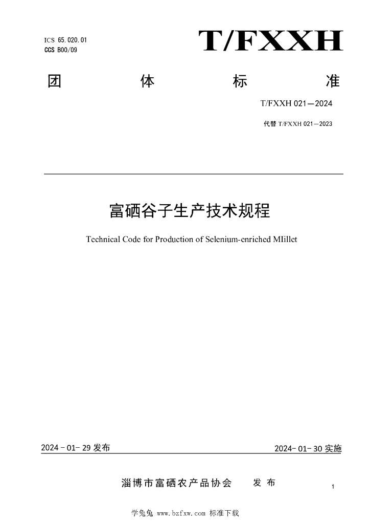 T/FXXH 021-2024 标准预览