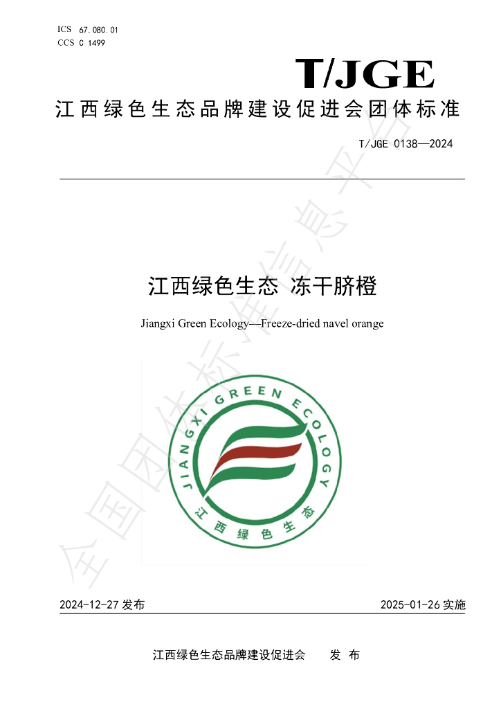 T/JGE 0138-2024 标准预览