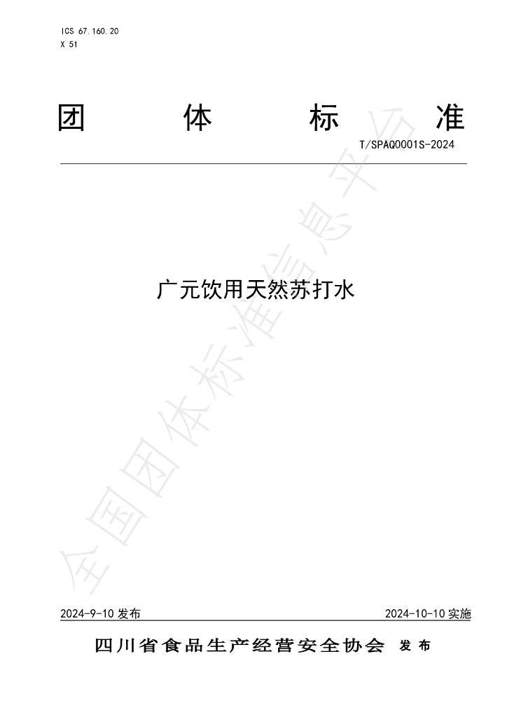 T/SPAQ 0001S-2024 标准预览