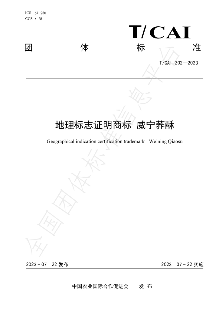 T/CAI 202-2023 标准预览