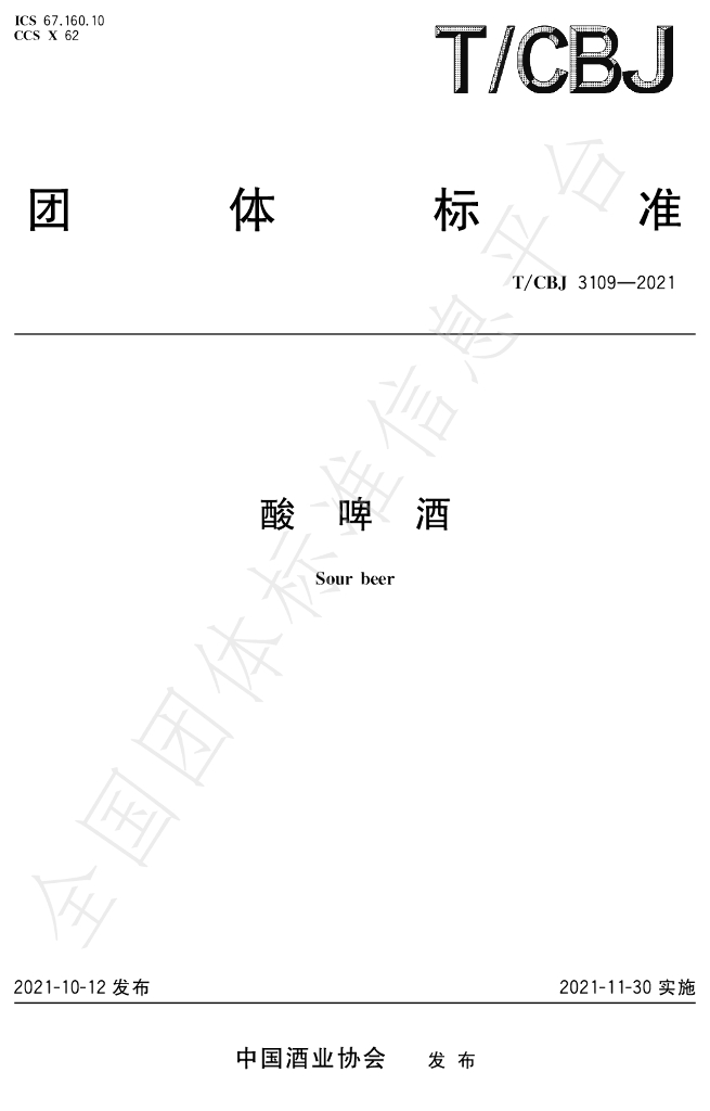 T/CBJ 3109-2021 标准预览