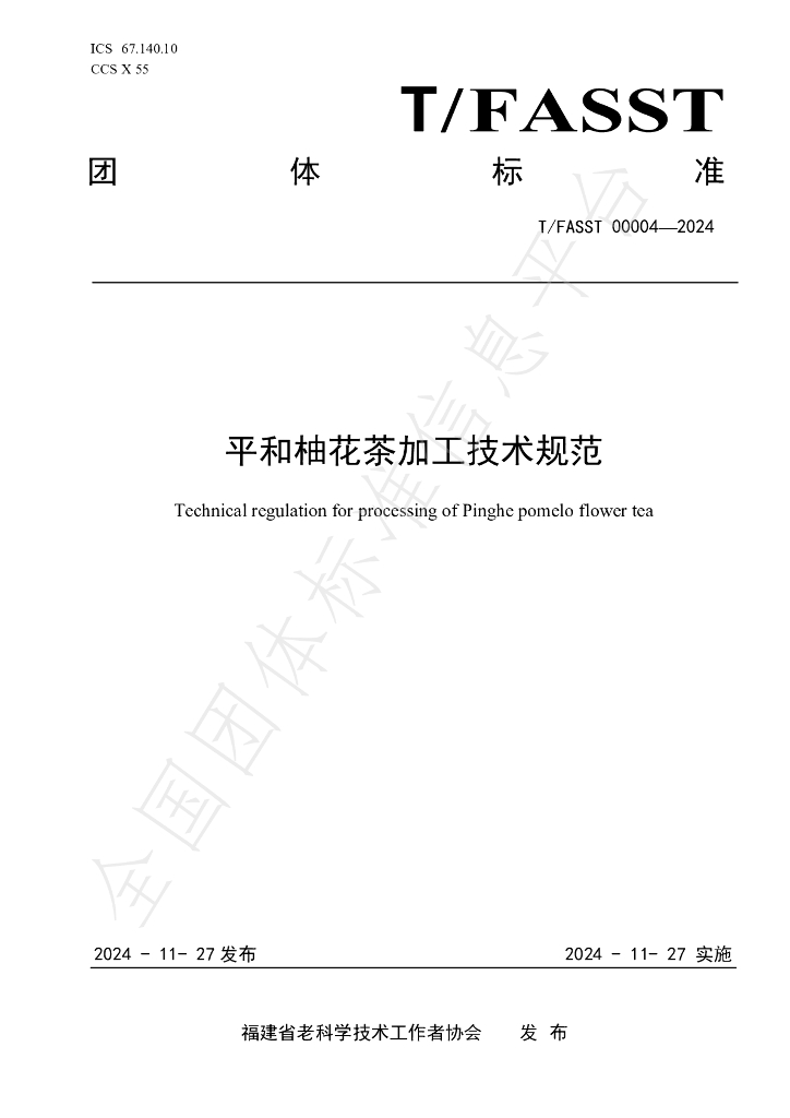 T/FASST 00004-2024 标准预览