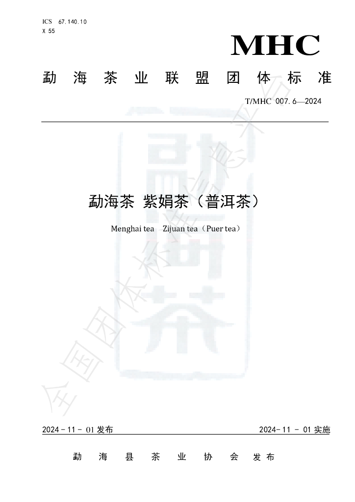 T/MHC 007.6-2024 标准预览