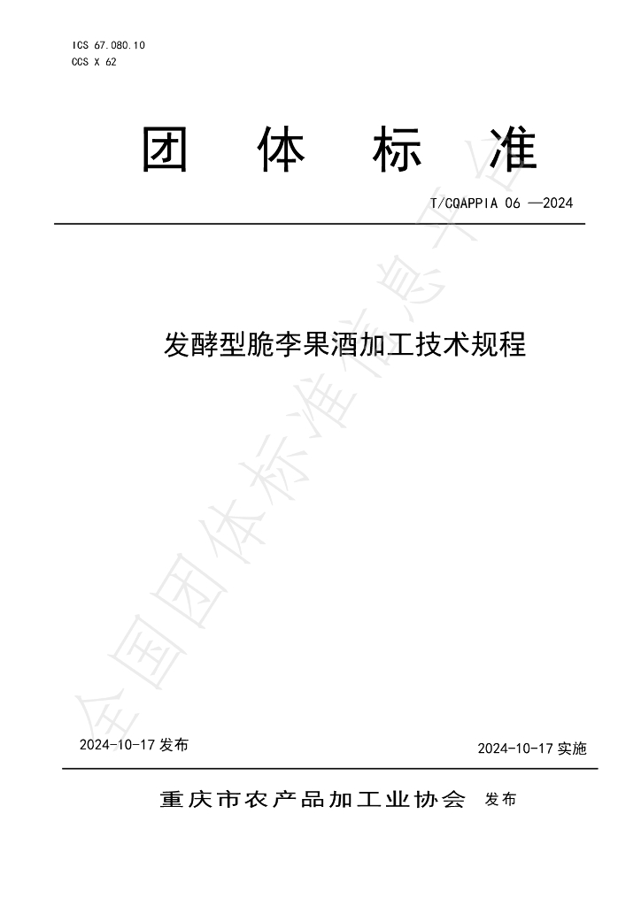 T/CQAPPIA 06-2024 标准预览