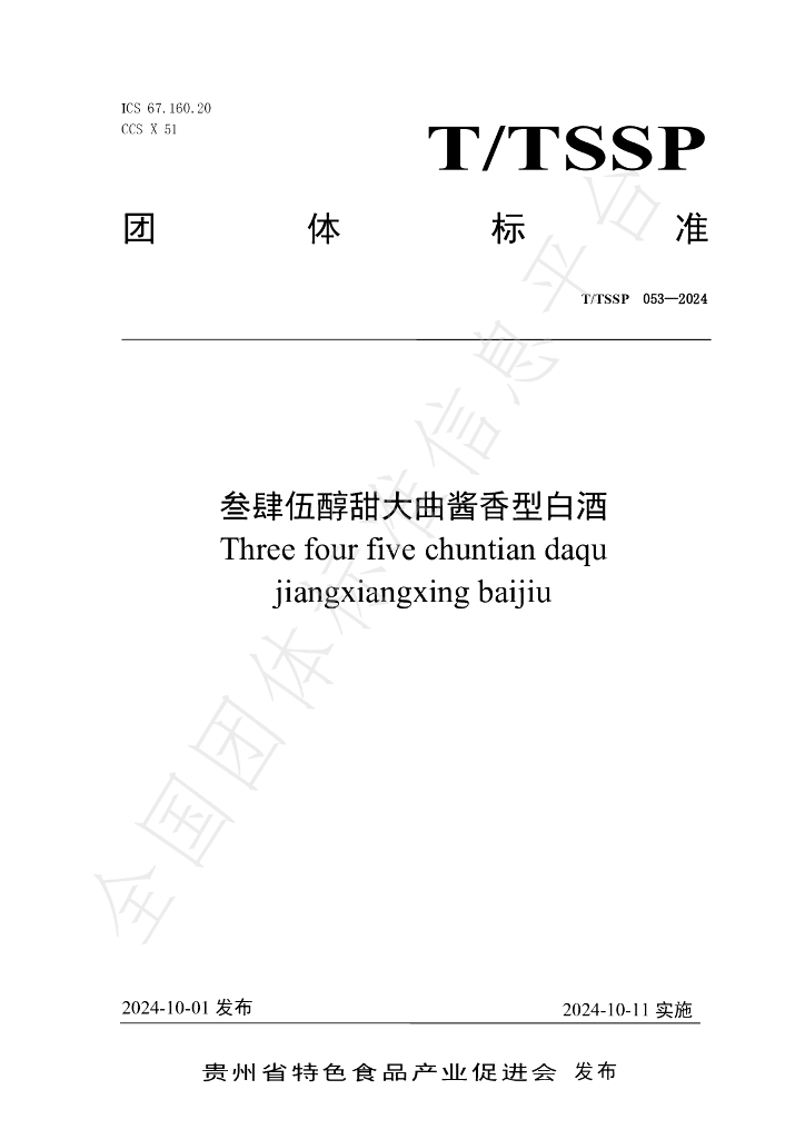 T/TSSP 053-2024 标准预览