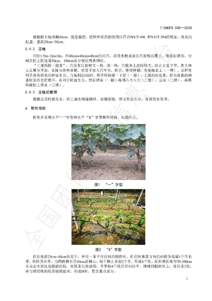 T/CHCFA 005-2024 标准预览